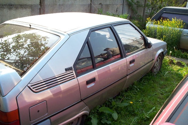 DCP_1008.JPG